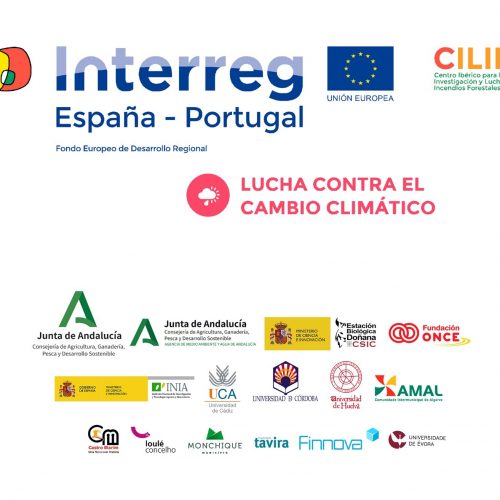 El proyecto Interreg CILIFO presenta la jornada «Introducción a los fondos europeos» enmarcada en la Semana Europea de la Formación Profesional 2020