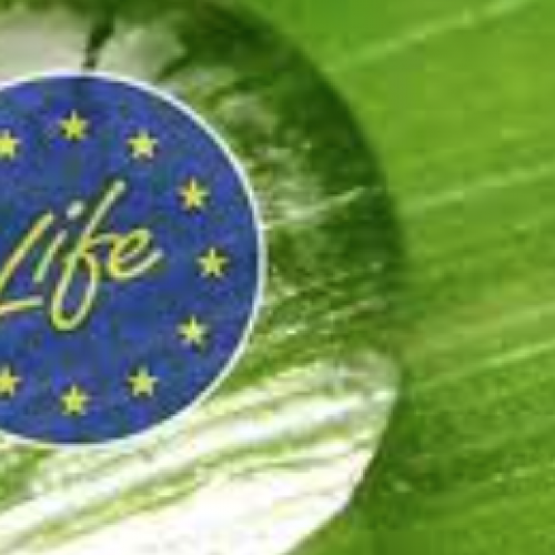 ALERTA | LIFE SUBPROGRAMA ECONOMÍA CIRCULAR Y CALIDAD DE VIDA ¡No te pierdas el próximo lanzamiento de la convocatoria LIFE 2021!