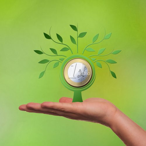 MAÑANA | ¡No te puedes perder la presentación del proyecto «Finanzas verdes, economía circular y descarbonización tras el COVID-19», el programa que tratará la temática de ayudas europeas ligadas a la inversión verde y digital!